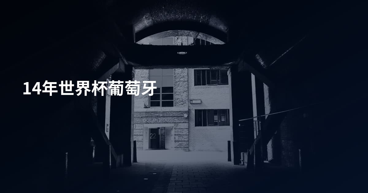14年世界杯葡萄牙