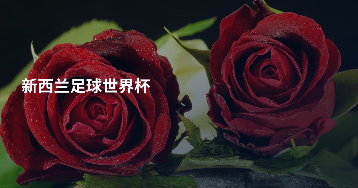 新西兰足球世界杯