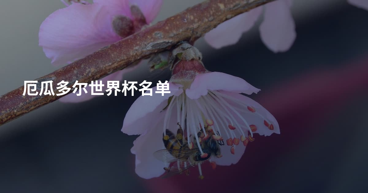 厄瓜多尔世界杯名单