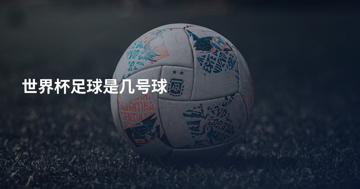 世界杯足球是几号球