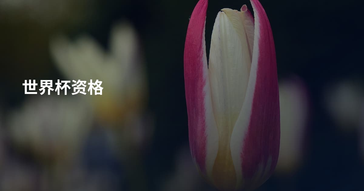 世界杯资格