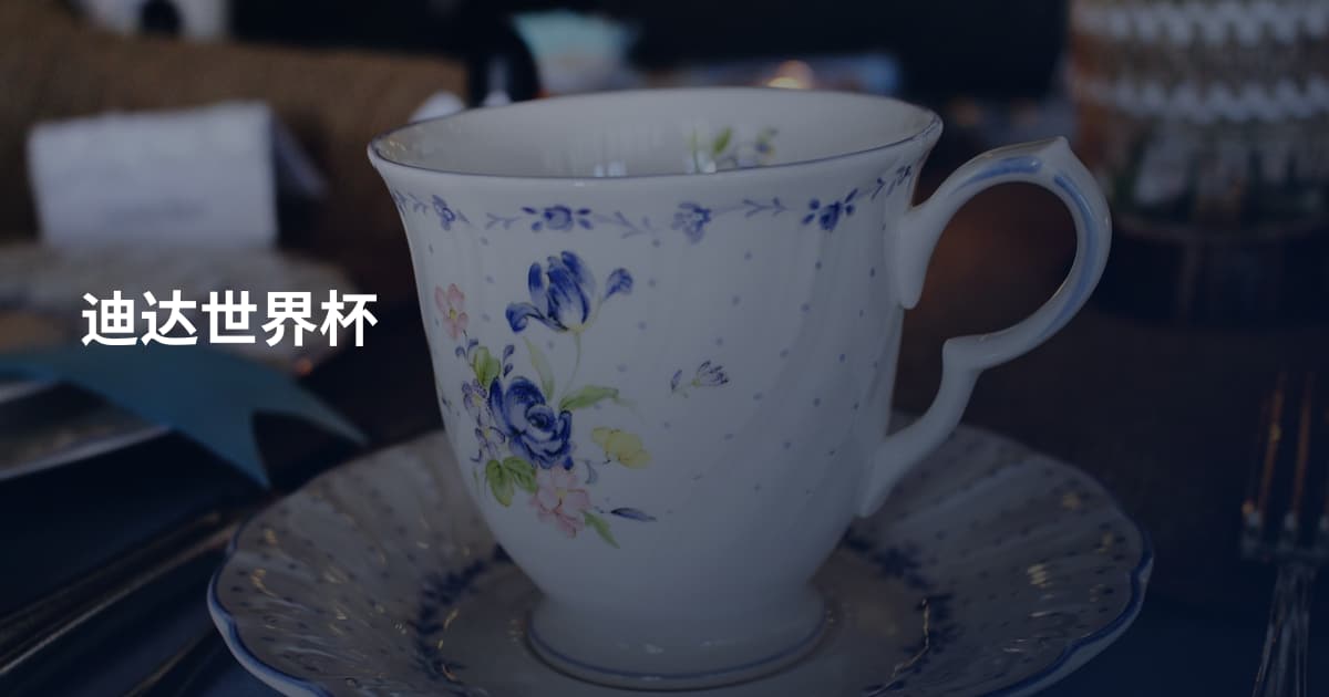迪达世界杯