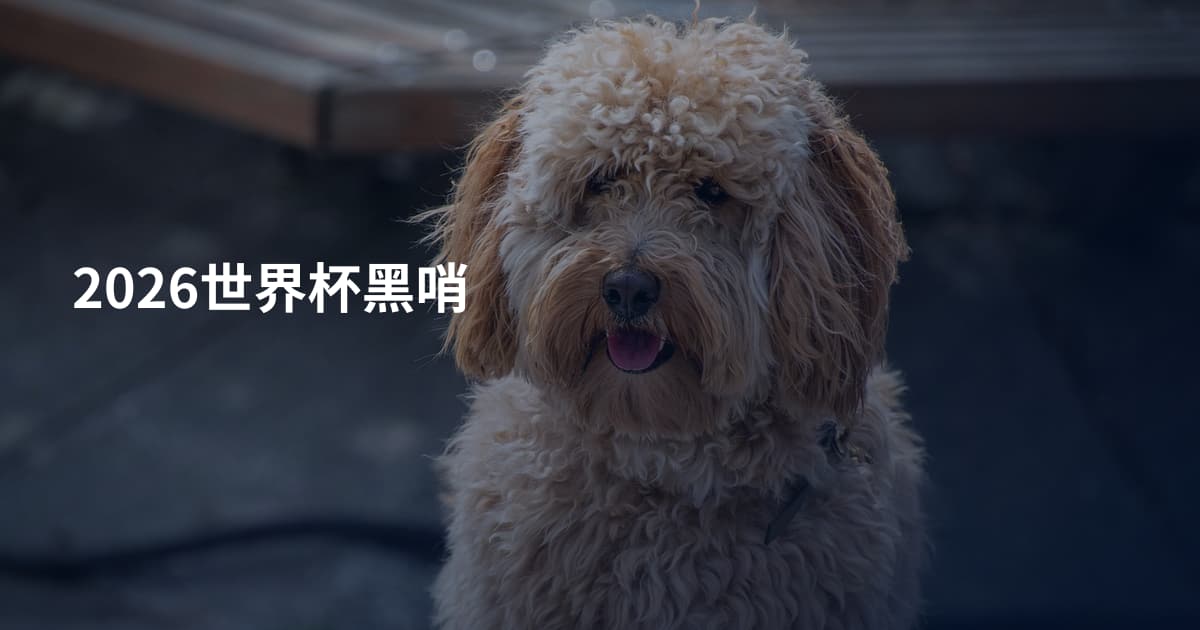 2026世界杯黑哨