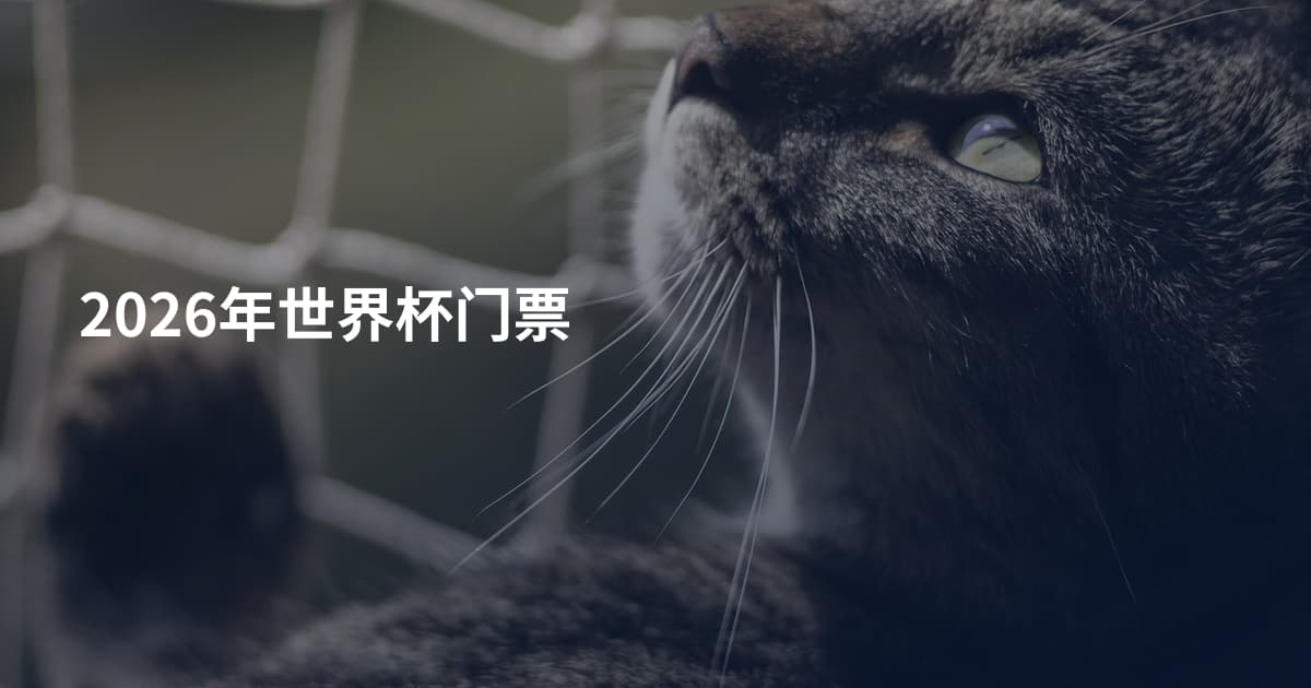 2026年世界杯门票