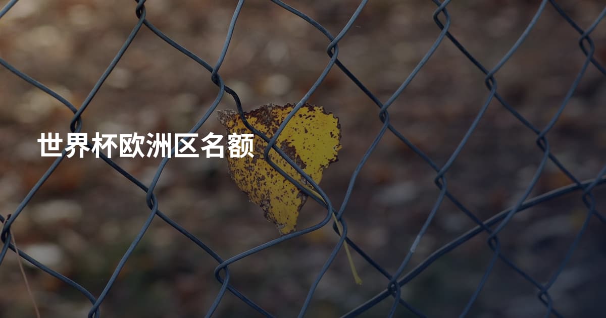 世界杯欧洲区名额