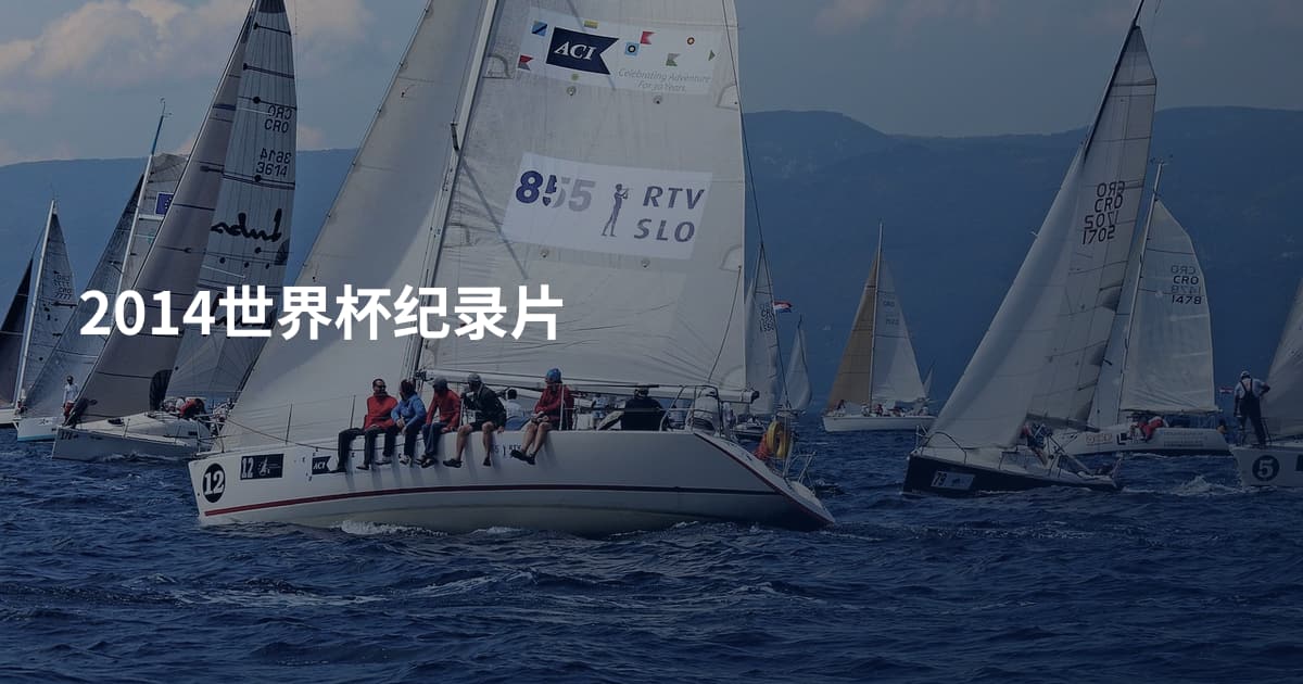 2014世界杯纪录片