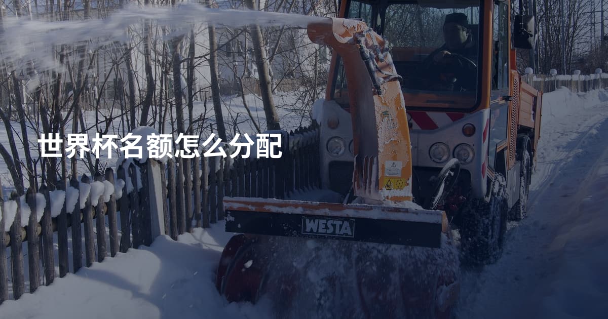 世界杯名额怎么分配