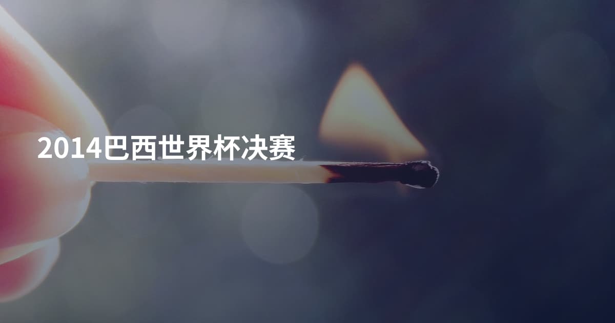 2014巴西世界杯决赛