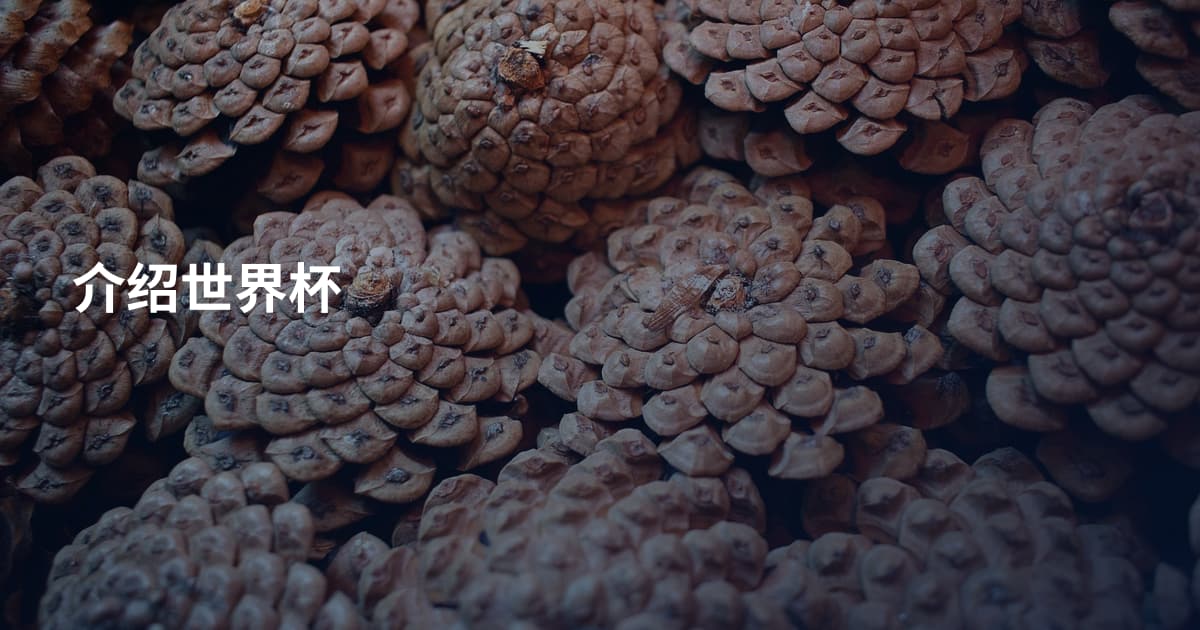 介绍世界杯