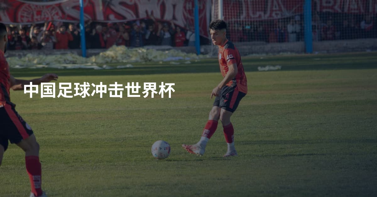 中国足球冲击世界杯