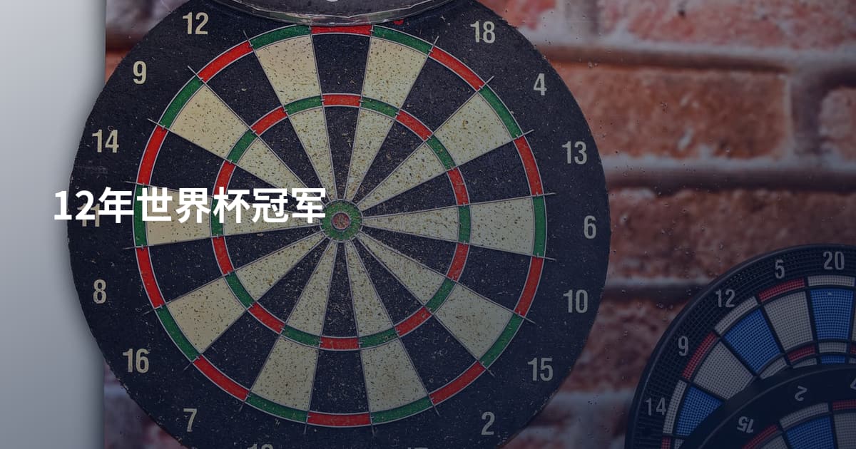 12年世界杯冠军