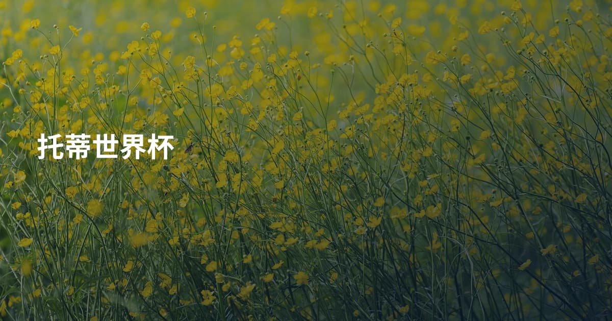 托蒂世界杯