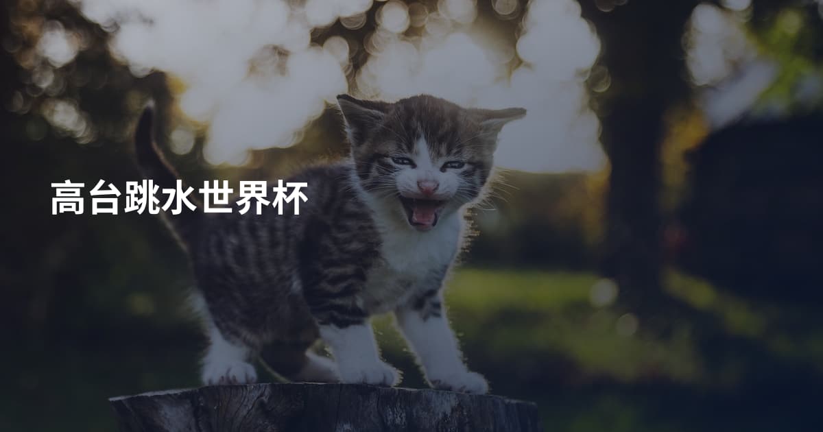 高台跳水世界杯