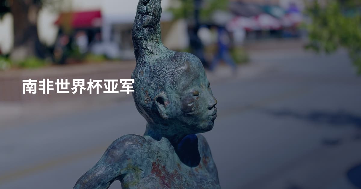 南非世界杯亚军