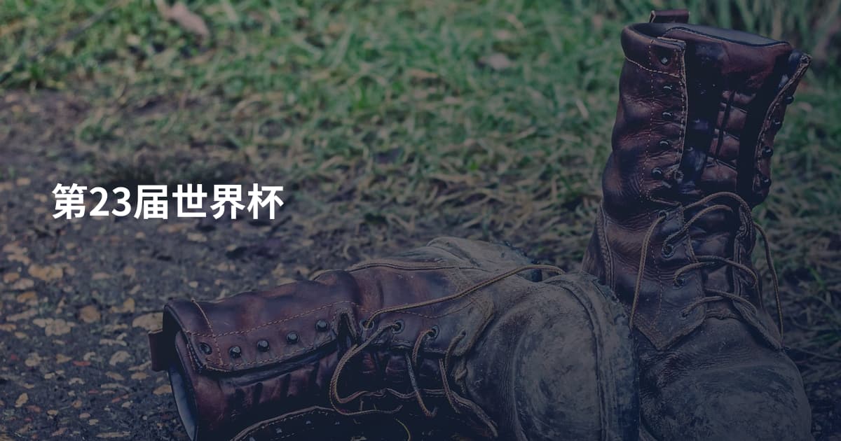 第23届世界杯