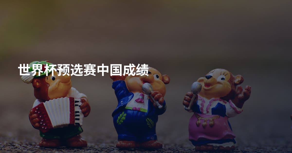 世界杯预选赛中国成绩