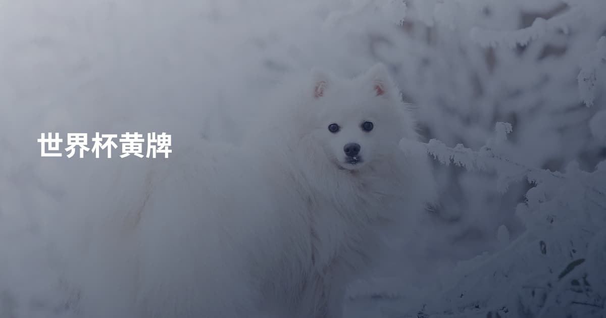 世界杯黄牌
