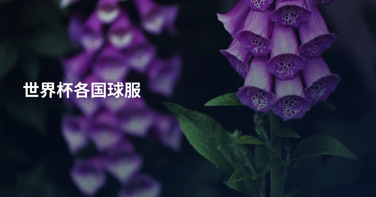 世界杯各国球服