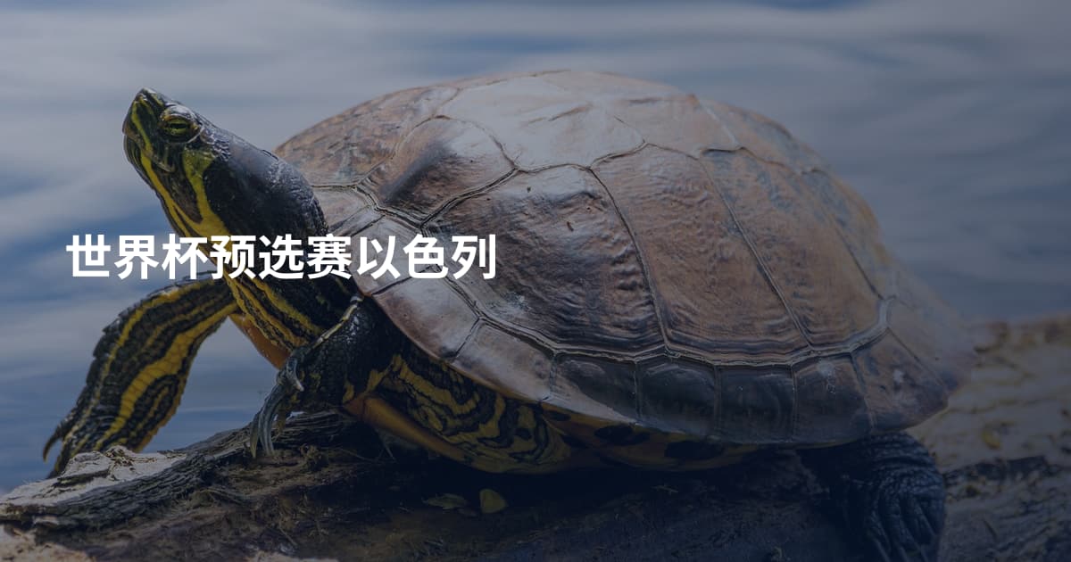世界杯预选赛以色列