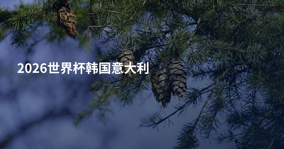 2026世界杯韩国意大利