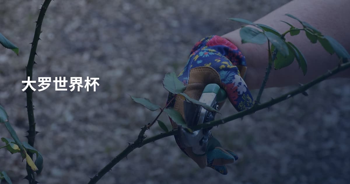 大罗世界杯