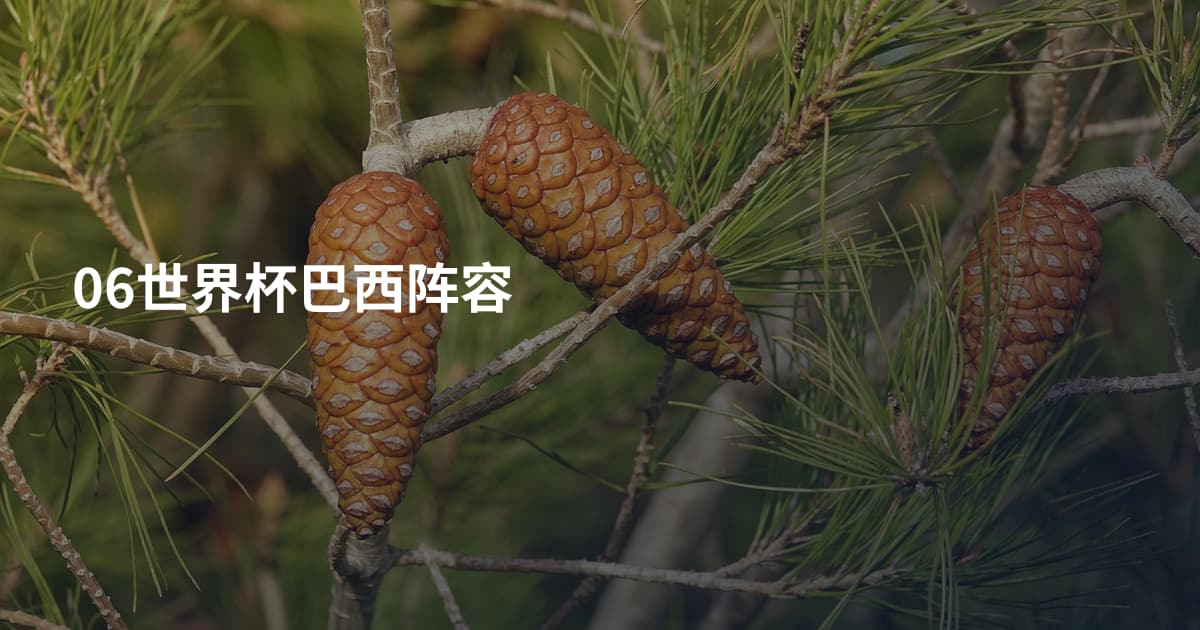 06世界杯巴西阵容