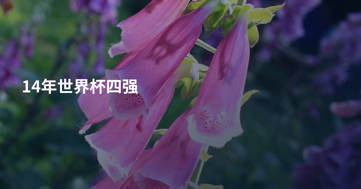 14年世界杯四强