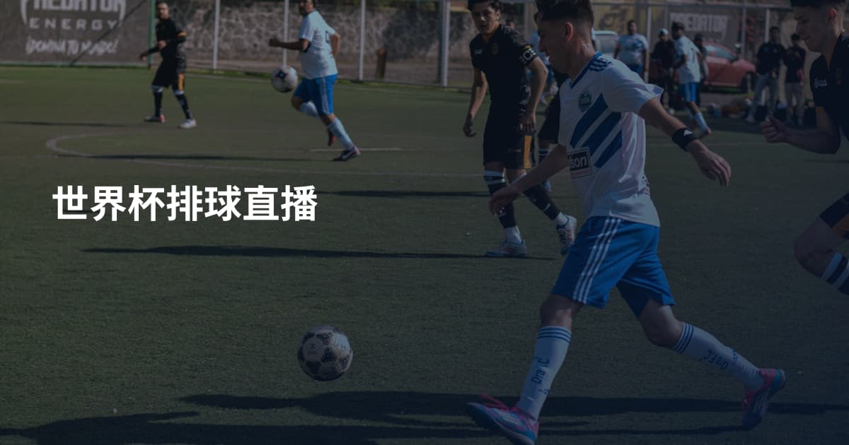 世界杯排球直播