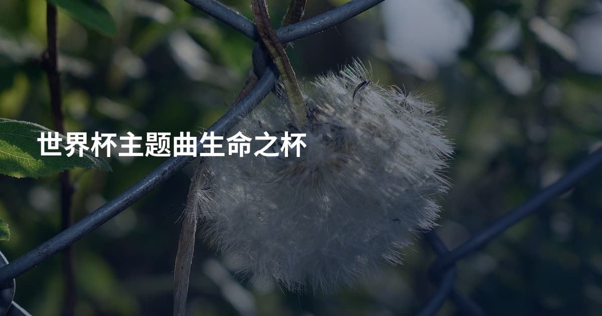 世界杯主题曲生命之杯