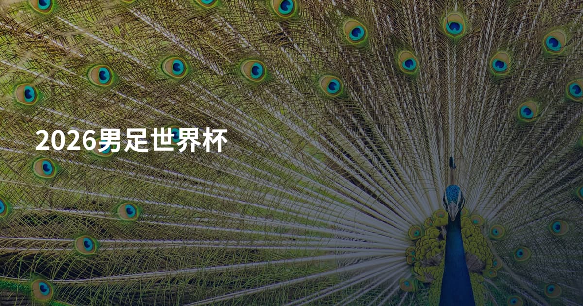 2026男足世界杯