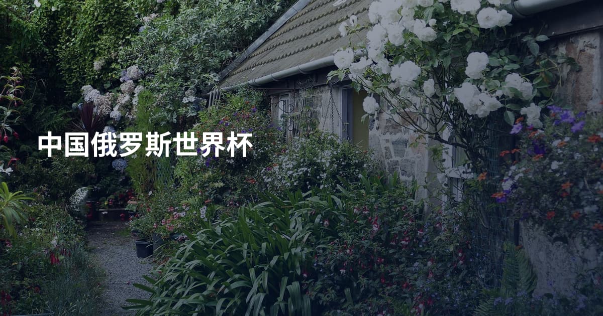 中国俄罗斯世界杯
