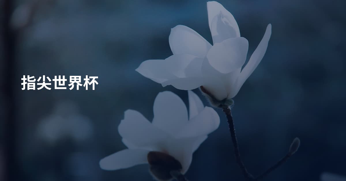 指尖世界杯