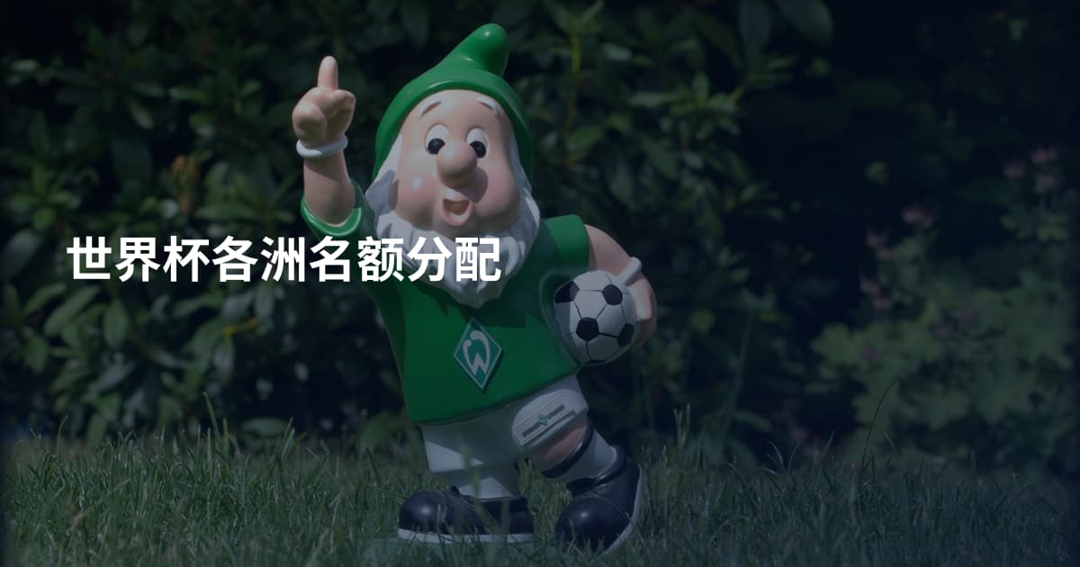 世界杯各洲名额分配