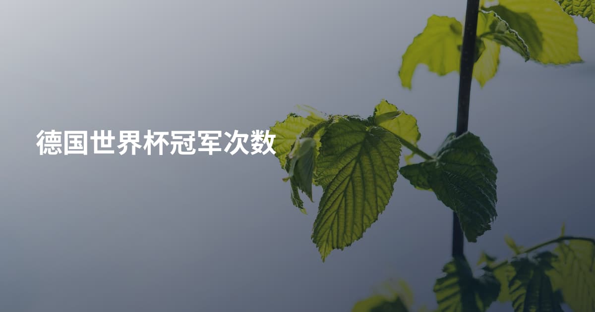 德国世界杯冠军次数