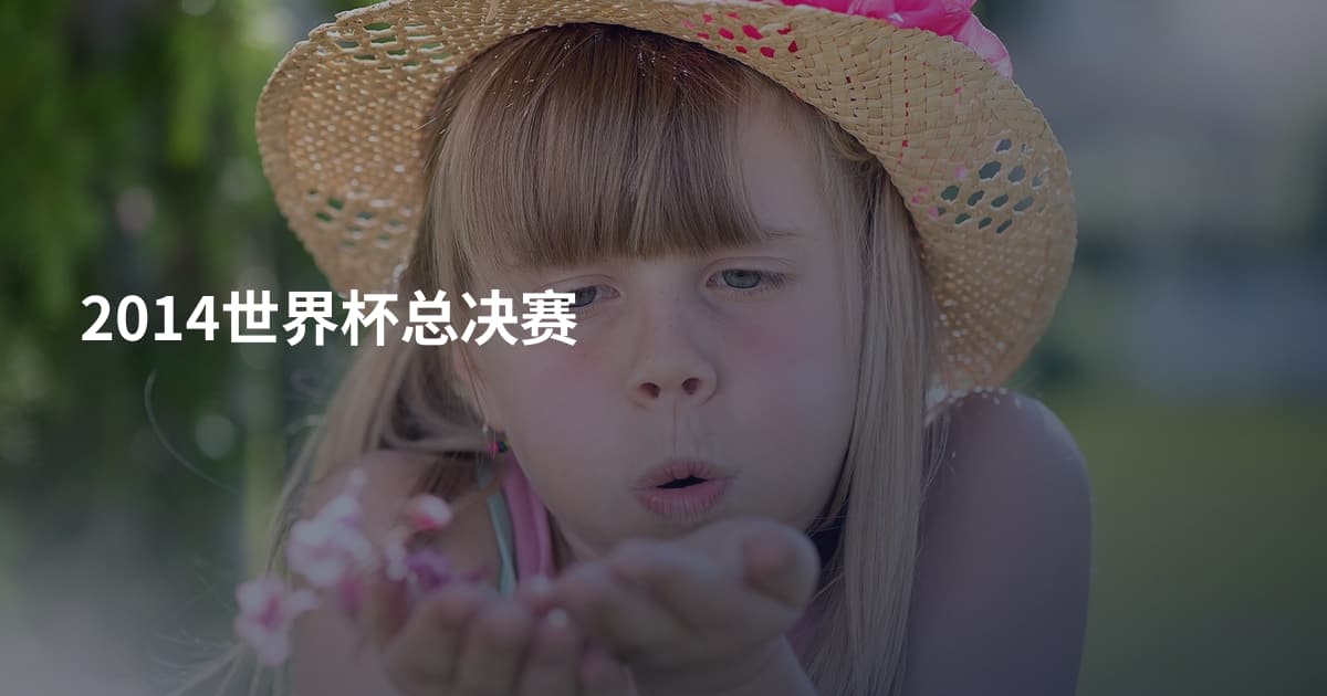 2014世界杯总决赛