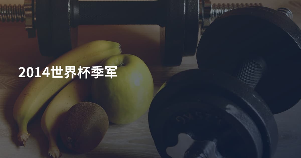 2014世界杯季军