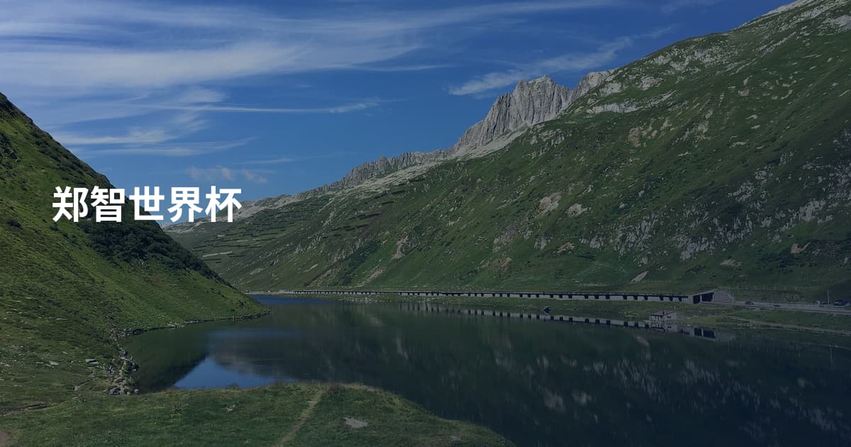 郑智世界杯