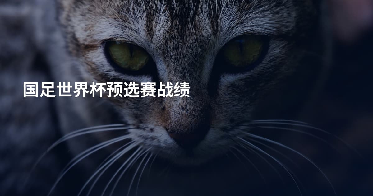 国足世界杯预选赛战绩