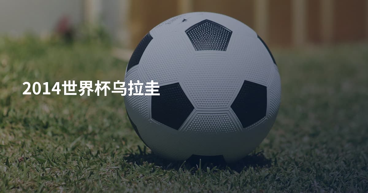 2014世界杯乌拉圭