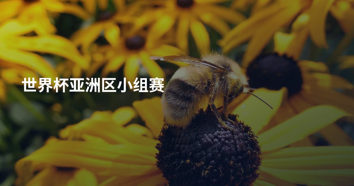 世界杯亚洲区小组赛
