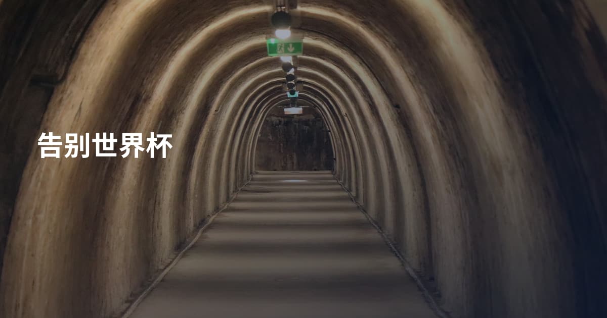 告别世界杯