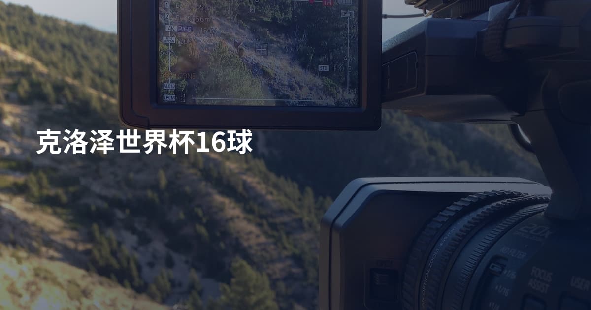 克洛泽世界杯16球