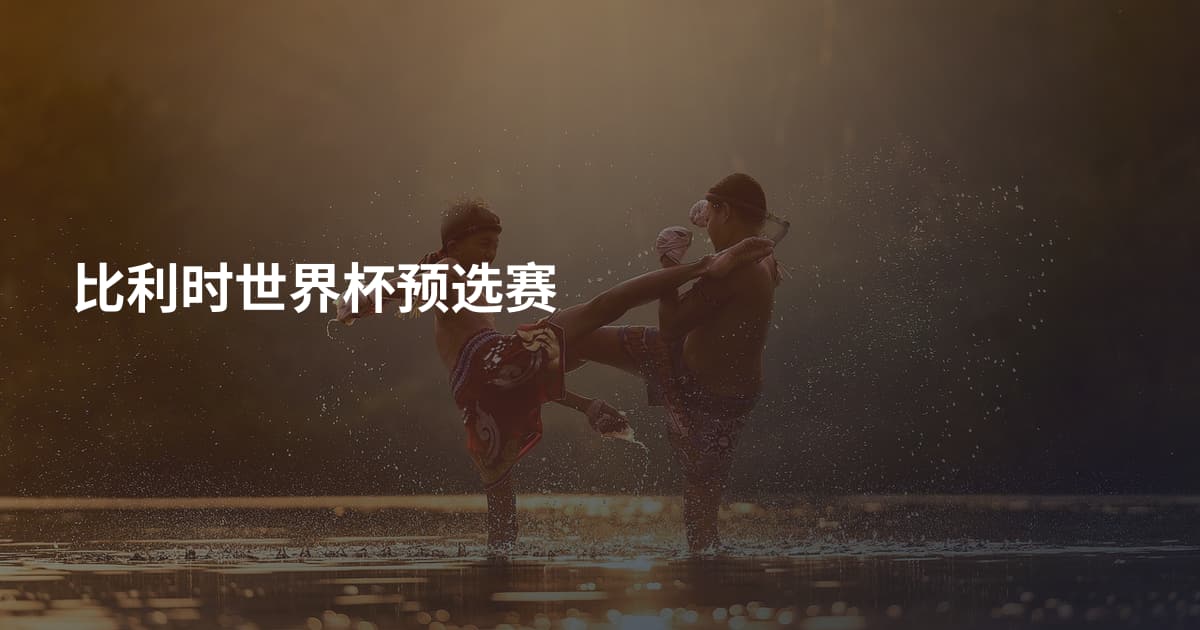 比利时世界杯预选赛