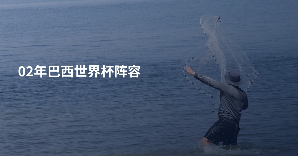 02年巴西世界杯阵容
