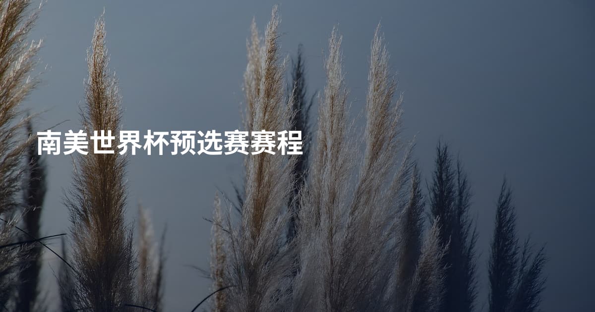 南美世界杯预选赛赛程