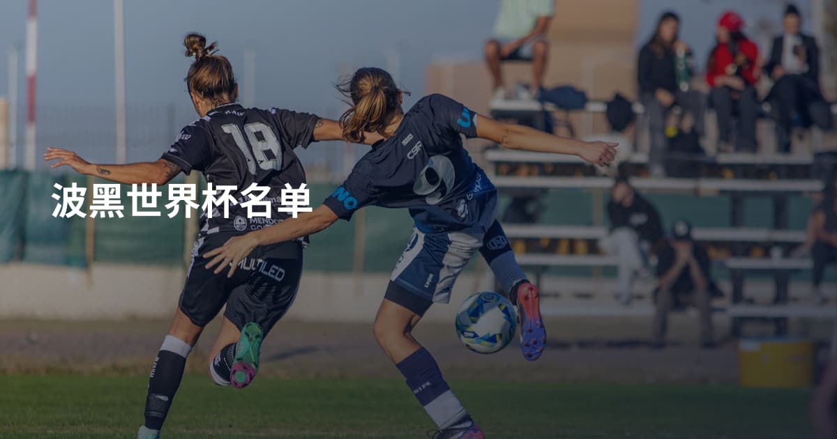 波黑世界杯名单