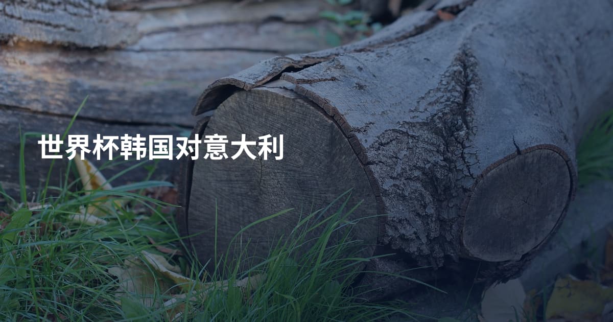 世界杯韩国对意大利