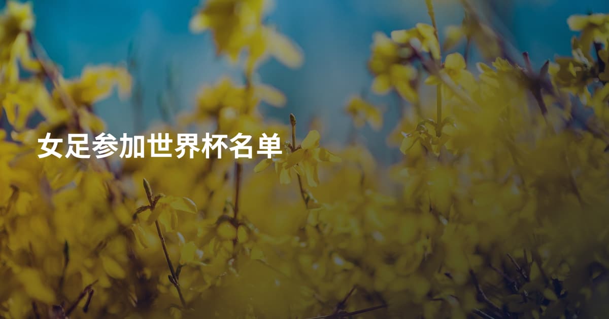 女足参加世界杯名单