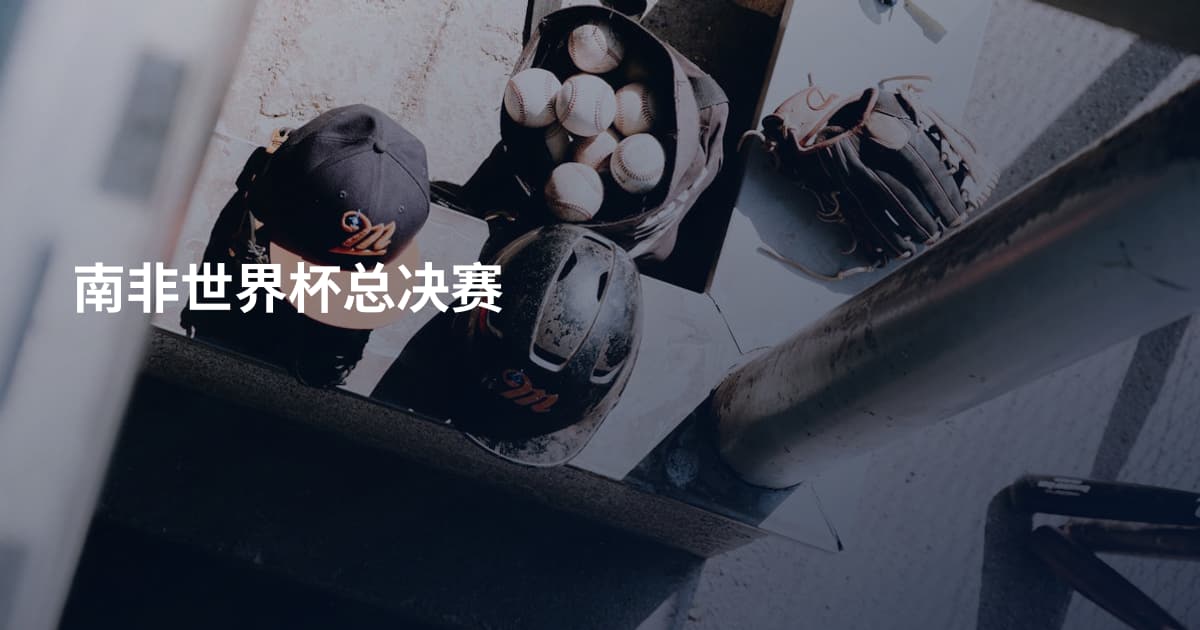 南非世界杯总决赛