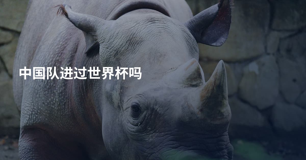 中国队进过世界杯吗